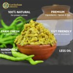 Chilli Chutney Thecha B2B wholesale showing multiple applications vada pav fusion pasta pizza versatile profitable